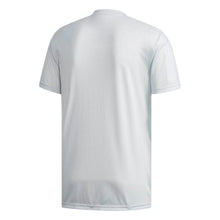Load image into Gallery viewer, Japan National Team Gray/White 2018 Away Replica Blank Jersey