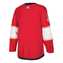 Load image into Gallery viewer, Florida Panthers Red Home Blank Jersey
