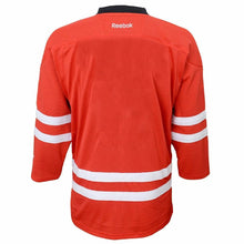 Load image into Gallery viewer, Carolina Hurricanes Youth Red/Black Premier Home Jersey